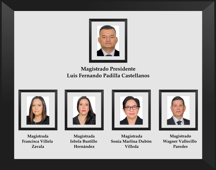 galeria2025